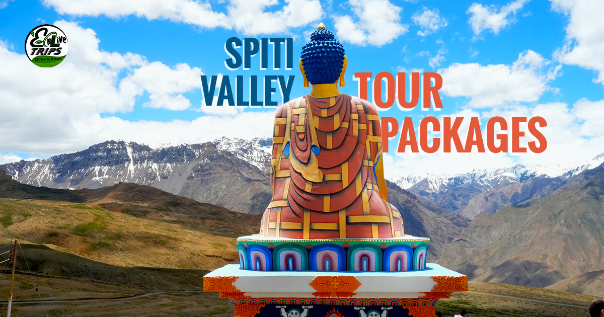 Spiti valley packages